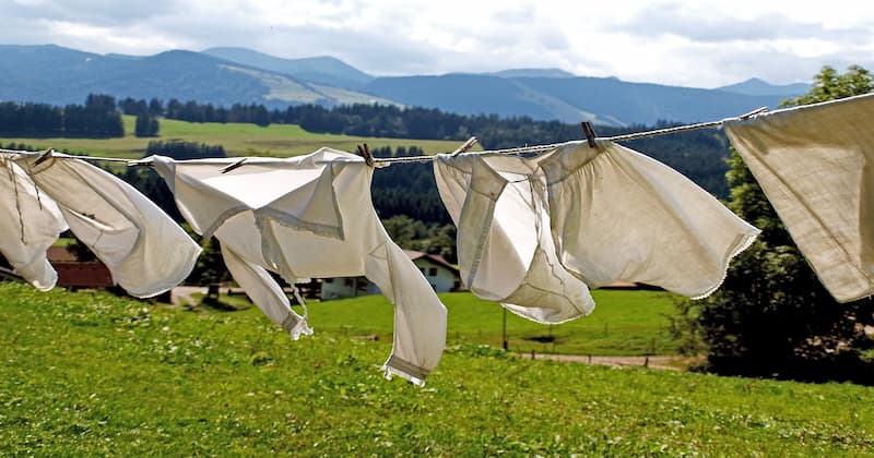 Laundry for skunks