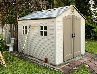 skunk under shed